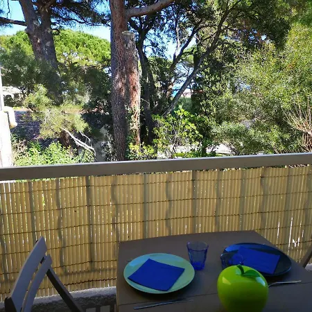 Sainte-maxime, Plage De La Nartelle